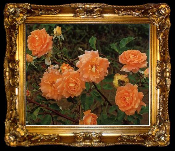 framed  unknow artist Still life floral, all kinds of reality flowers oil painting  261, ta009-2